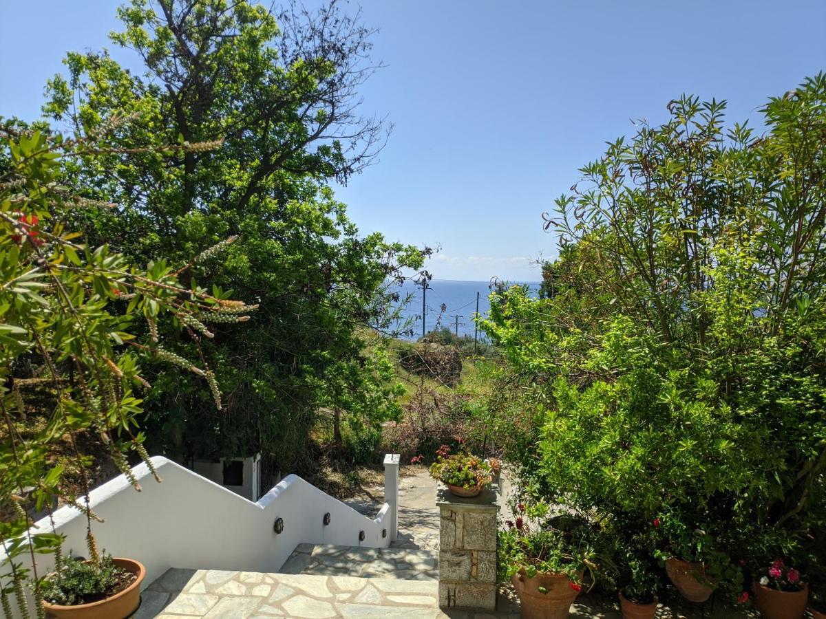Oikia Guesthouse Stafylos Eksteriør bilde